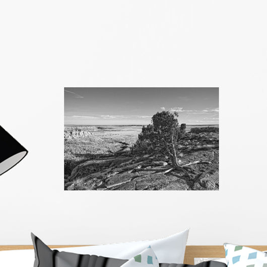 Petrified Forest National Park, Arizona Wall Mural