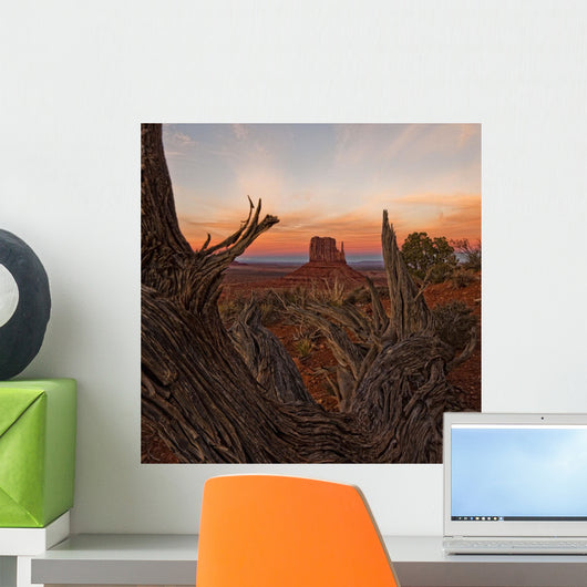 Monument Valley, Arizona Wall Mural
