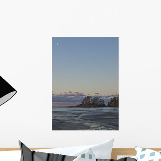 Combers Beach At Dawn, Tofino, British Columbia Wall Mural