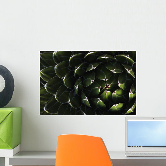 Bolivian Plant In Late Afternoon Light Wall Mural