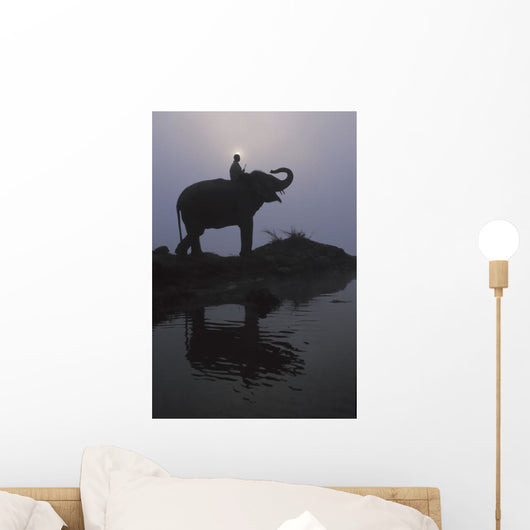 An Elephant With Its Mahout Stand At The Edge Of The Rapti River Wall Mural