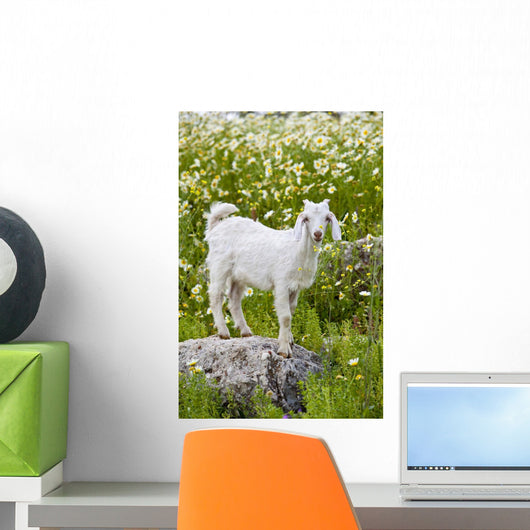 Goat In A Field On The Site Of Ancient Patara, Lycian Coast, Turkey Wall Mural
