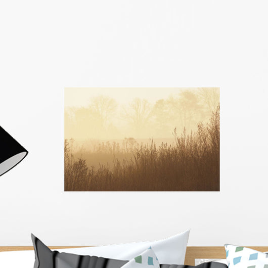 Fields Of Tall Grass In The Mist At Sunrise, Simcoe, Ontario Wall Mural