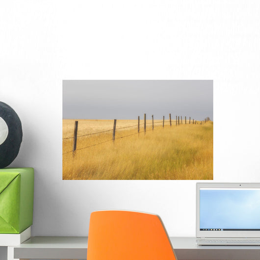 Barley Field And Fenceline, Southern Saskatchewan Wall Mural