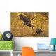 Immature Great Horned Owls Backlit In A Grass Field, Saskatchewan Wall Mural