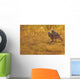 Immature Great Horned Owls Backlit In A Grass Field, Saskatchewan Wall Mural