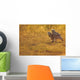 Immature Great Horned Owls Backlit In A Grass Field, Saskatchewan Wall Mural