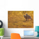 Immature Great Horned Owls Backlit In A Grass Field, Saskatchewan Wall Mural