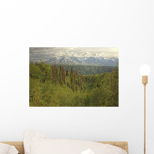 The Alsek Mountains Along The Haines Highway, Yukon Wall Mural