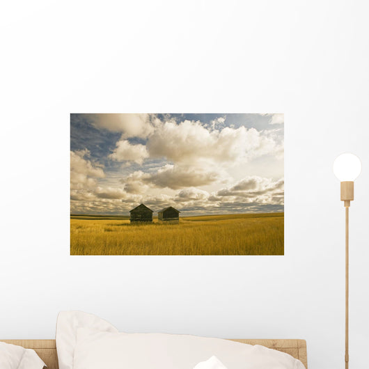 Artist's Choice Wall Mural
