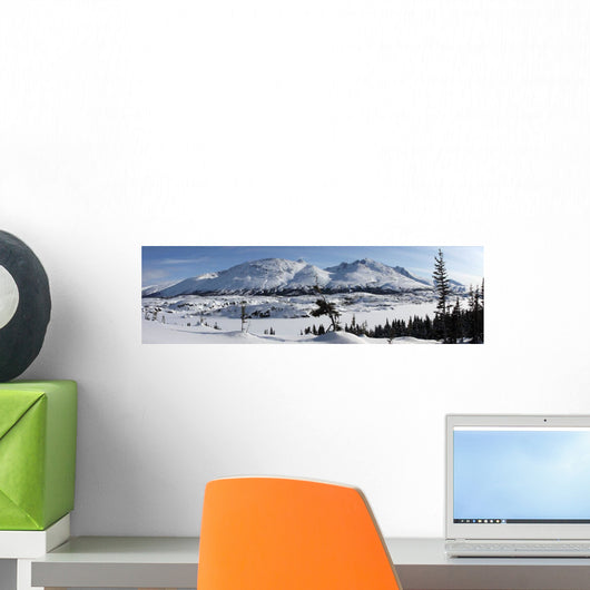 Panoramic Of An Unnamed Mountain Taken From South Klondike Highway Wall Mural
