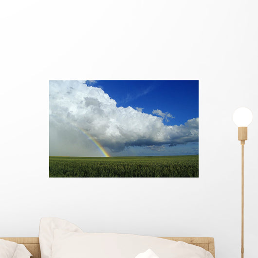 Cumulonimbus Cloud Mass And Rainbow With Wheat Field In The Foreground Wall Mural