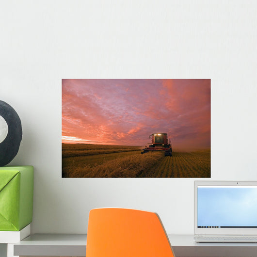 Farmer Harvesting Oat Crop With A Combine At Dusk Wall Mural