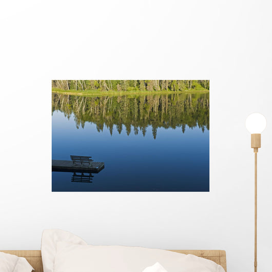 Bench On A Dock And Trees Reflected In Water Wall Mural