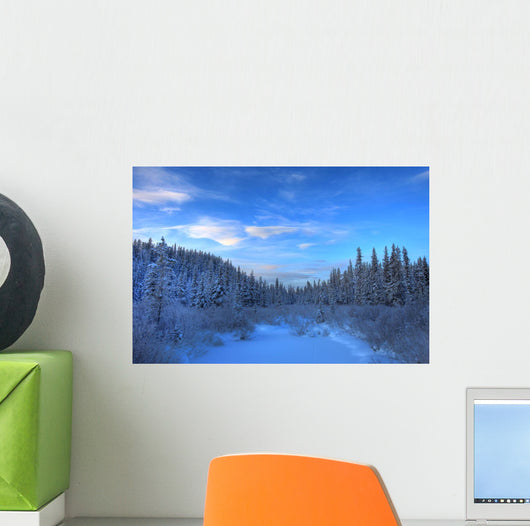 Frozen Stream Along The South Canol Road, Yukon Wall Mural