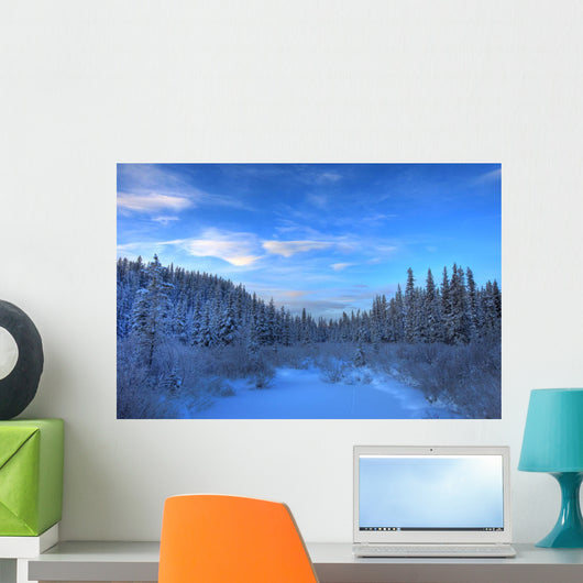 Frozen Stream Along The South Canol Road, Yukon Wall Mural