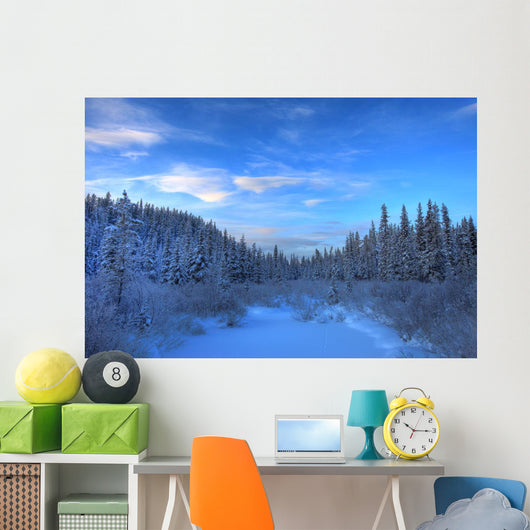 Frozen Stream Along The South Canol Road, Yukon Wall Mural