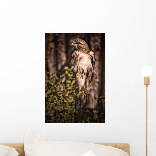 Hawk On A Post, Saskatoon, Saskatchewan Wall Mural