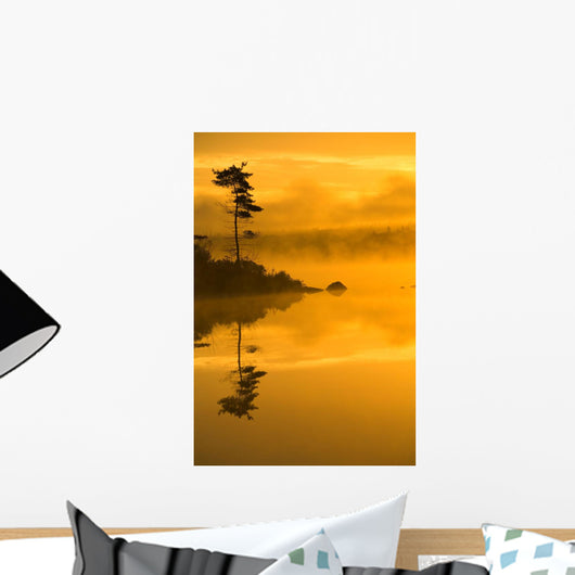 Lone Pine And Misty Lake At Dawn, Rocky Lake, Lakeview, Nova Scotia Wall Mural