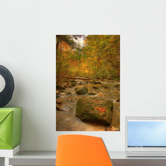 Stream In Autumn, Rock Glen Conservation Area, Near Arkona, Ontario Wall Mural