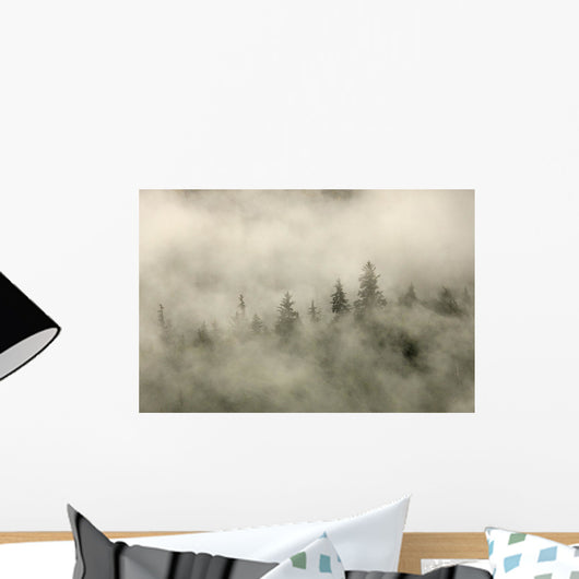 Tips Of Coniferous Trees In Mist, Vancouver Island, British Columbia Wall Mural