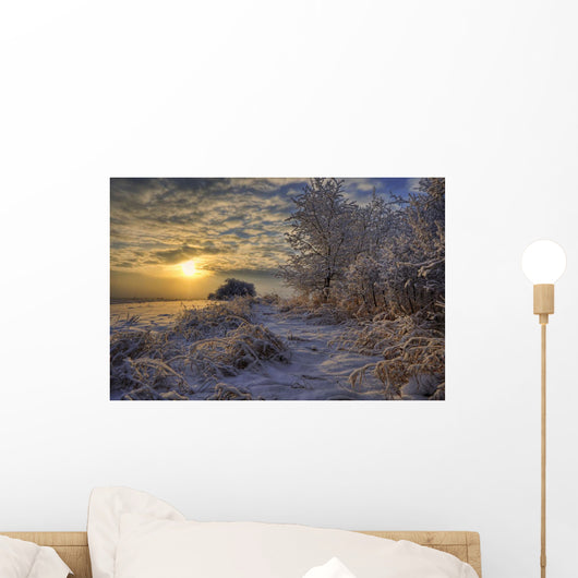Hoar Frost Covered Trees At Sunrise In The Alberta Prairies Wall Mural