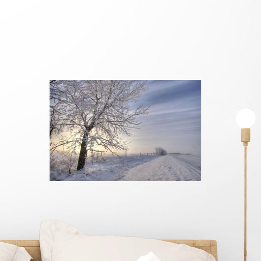 Hoar Frost Covered Tree Along A Snow Covered Road At Sunset Wall Mural