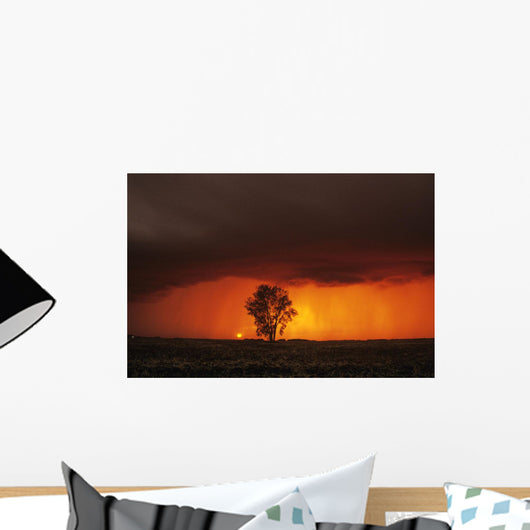 Cumulonimbus Cloud And Cottonwood Tree, Near Dugald, Manitoba Wall Mural