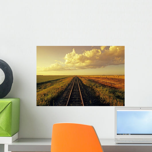 Railway Through Farmland, Near Carey, Manitoba Wall Mural