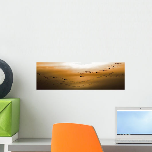 Flock Of Geese Flying Into Sunset, Saskatoon, Saskatchewan Wall Mural