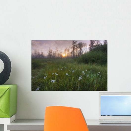 Prairie Wildflowers Wall Mural