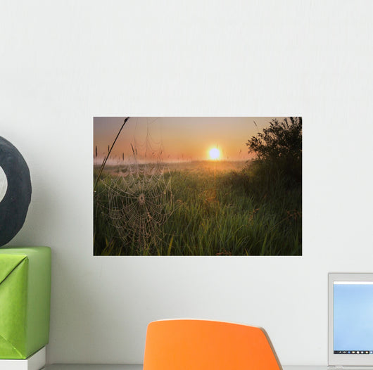 Sunrise On A Dew-Covered Cattle Pasture With Spider Web Wall Mural