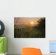 Sunrise On A Dew-Covered Cattle Pasture With Spider Web Wall Mural