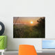 Sunrise On A Dew-Covered Cattle Pasture With Spider Web Wall Mural