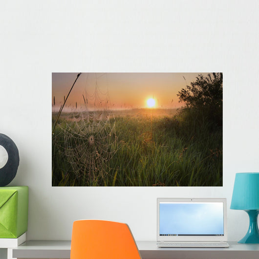 Sunrise On A Dew-Covered Cattle Pasture With Spider Web Wall Mural