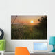Sunrise On A Dew-Covered Cattle Pasture With Spider Web Wall Mural