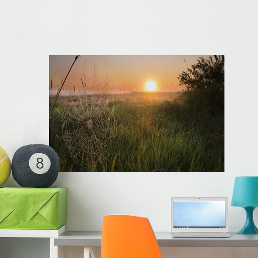 Sunrise On A Dew-Covered Cattle Pasture With Spider Web Wall Mural