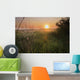 Sunrise On A Dew-Covered Cattle Pasture With Spider Web Wall Mural
