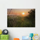 Sunrise On A Dew-Covered Cattle Pasture With Spider Web Wall Mural