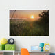 Sunrise On A Dew-Covered Cattle Pasture With Spider Web Wall Mural