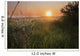 Sunrise On A Dew-Covered Cattle Pasture With Spider Web Wall Mural