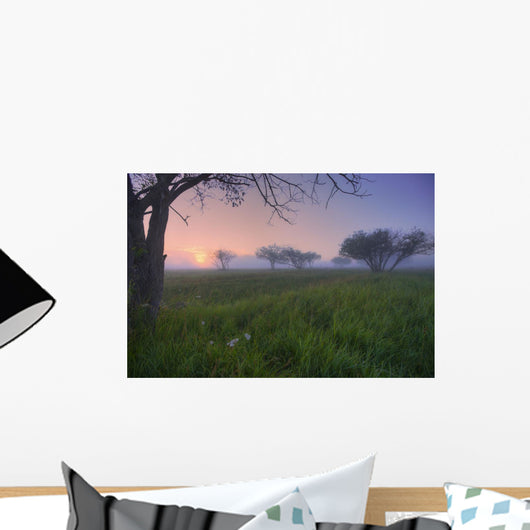 Wildflowers On A Foggy Pasture In Central Alberta Wall Mural