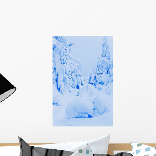 Snow-Covered To Vallee Des Fantomes Wall Mural