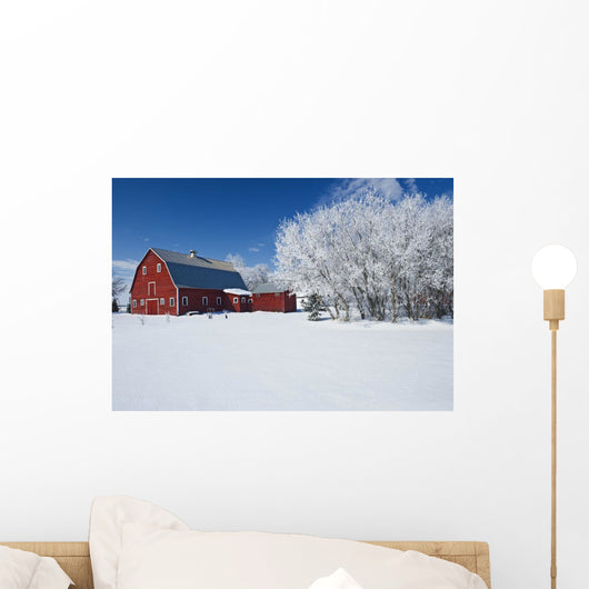 Red Barn, Winter, Grande Pointe, Manitoba, Canada Wall Mural