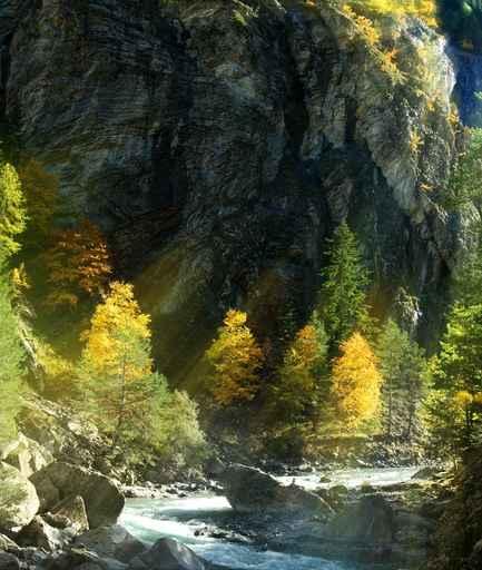 Paysage Wall Decal