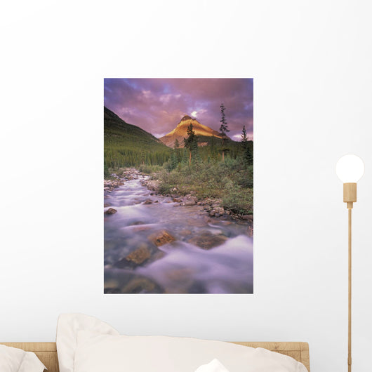 Mt Silverhorn And Silverhorn Creek Wall Mural
