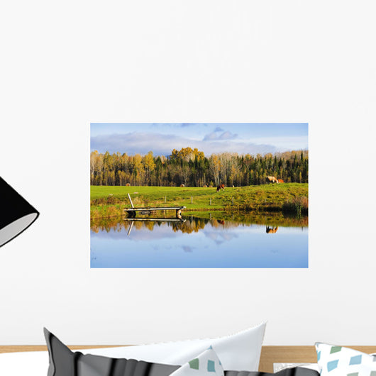 Pond And Cattle Near Mansonville, Eastern Townships, Quebec Wall Mural