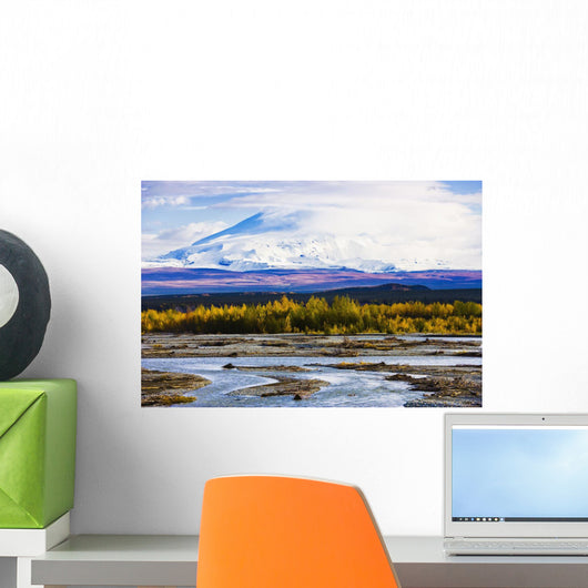 Artist's Choice: Chistochina River And Mount Sanford, Alaska Wall Mural