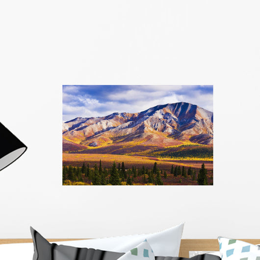Fall Colours And Fang Mountain, Denali National Park, Alaska Wall Mural