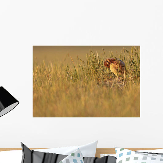 Digitally Enhanced Image With Painterly Effect Of Burrowing Owl Chick Wall Mural